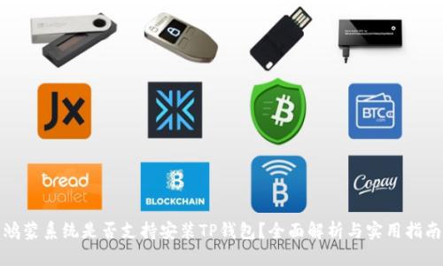 鸿蒙系统是否支持安装TP钱包？全面解析与实用指南