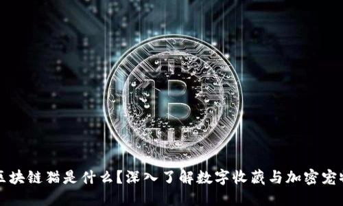 区块链猫是什么？深入了解数字收藏与加密宠物