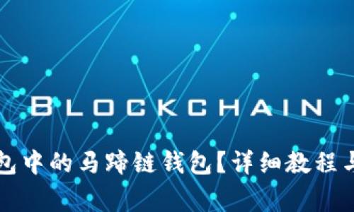 如何创建TP钱包中的马蹄链钱包？详细教程与常见问题解答