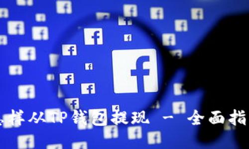 怎样从TP钱包提现 - 全面指南