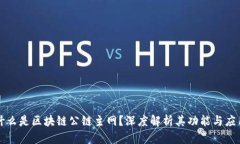 什么是区块链公链主网？深度解析其功能与应用