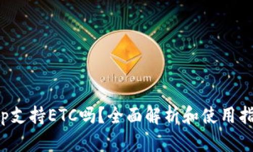 t p支持ETC吗？全面解析和使用指南